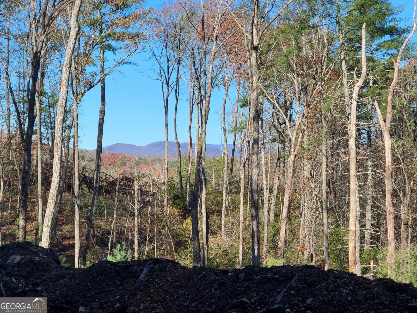 1713 Old Northcutt Road Ellijay - 29