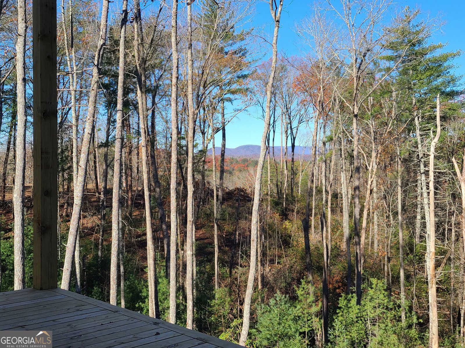 1713 Old Northcutt Road Ellijay - 30