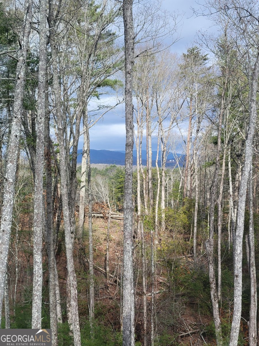1713 Old Northcutt Road Ellijay - 37