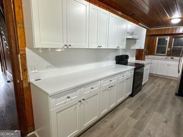 421 Lagrange Street Greenville - 5