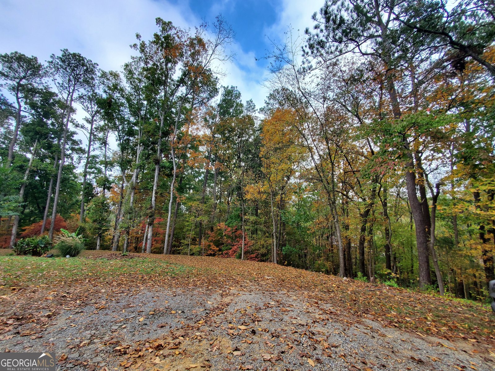 111 Lewis Drive Calhoun - 37