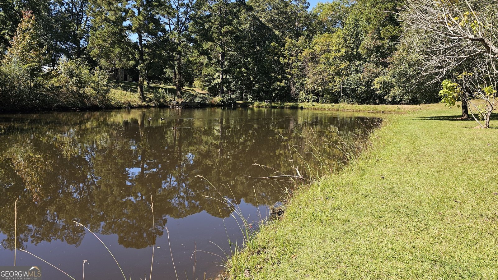 90 Bunn Road Forsyth - 9