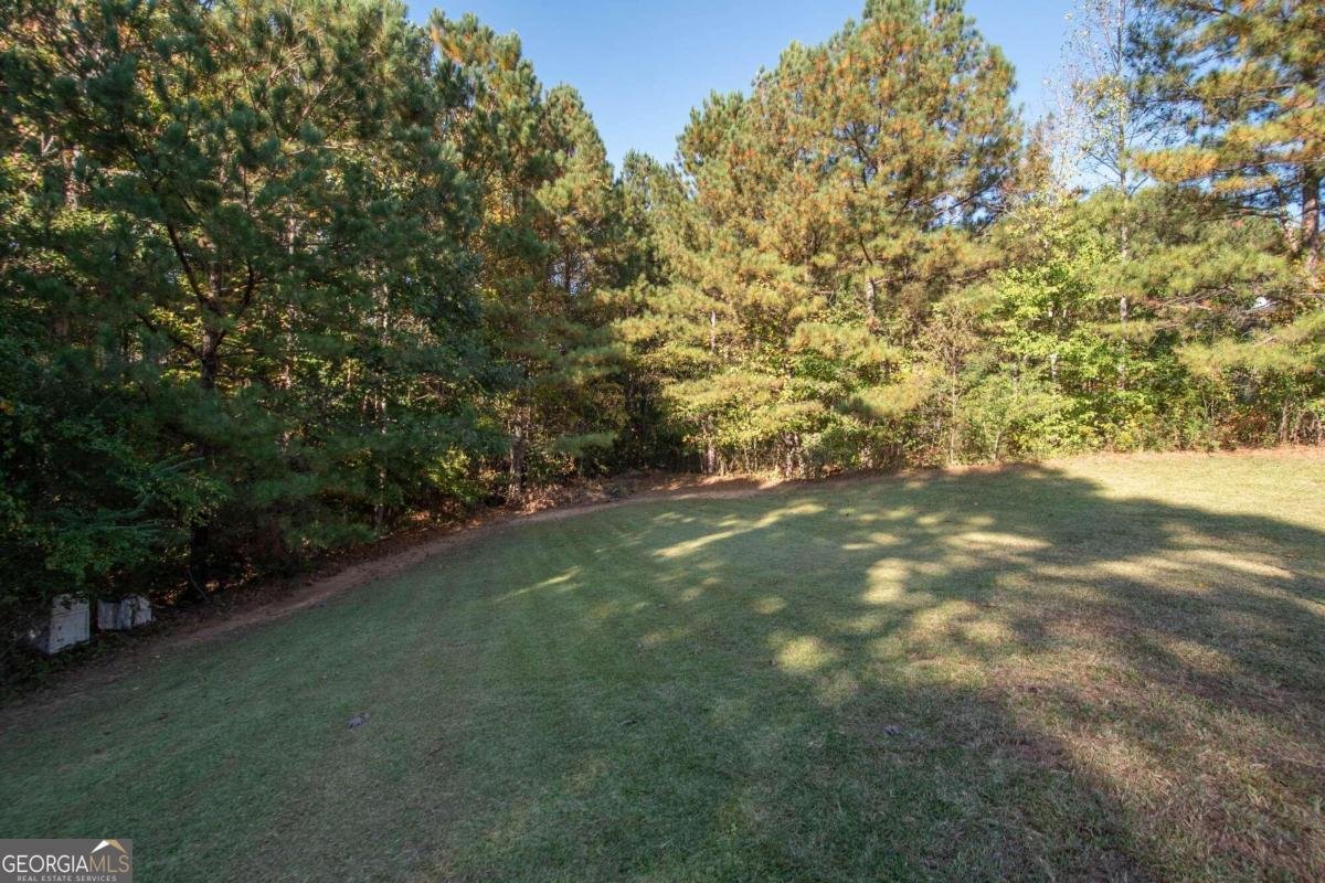50 Carthedge Trace Newnan - 37