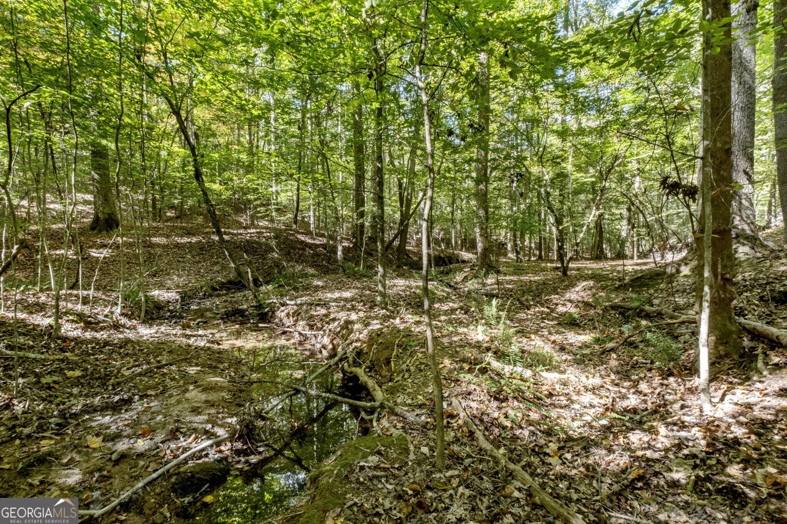 13250 Birmingham Highway Milton - 62