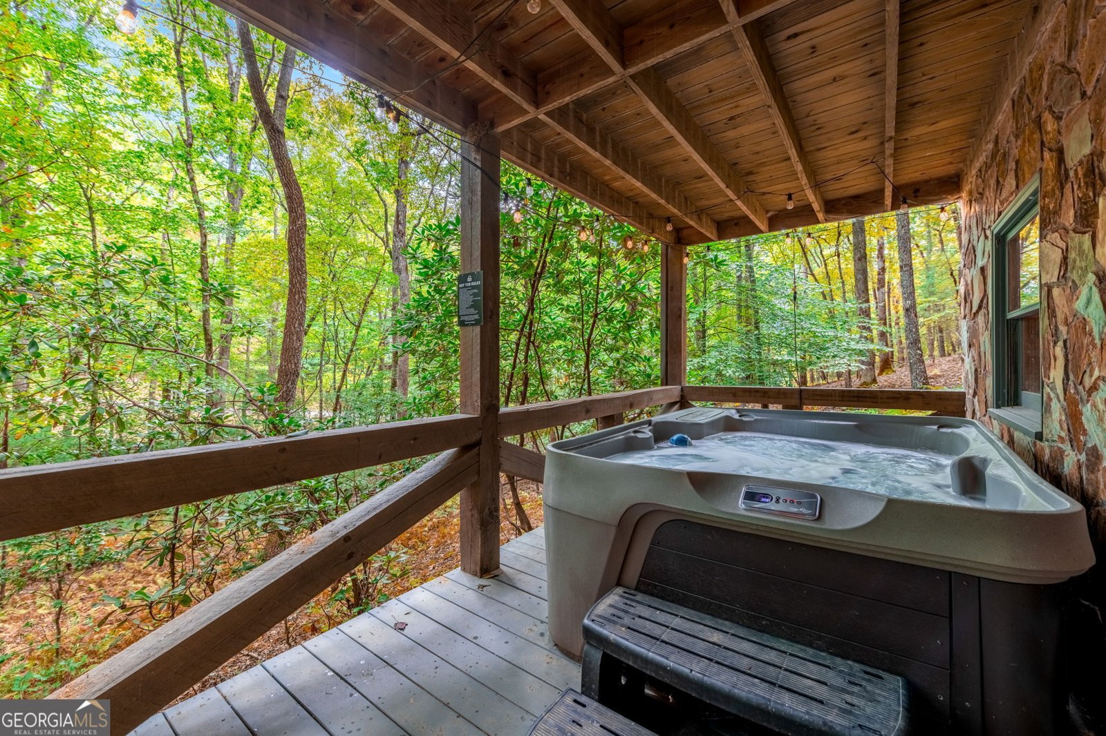 421 Weeks Creek Road Blue Ridge - 39