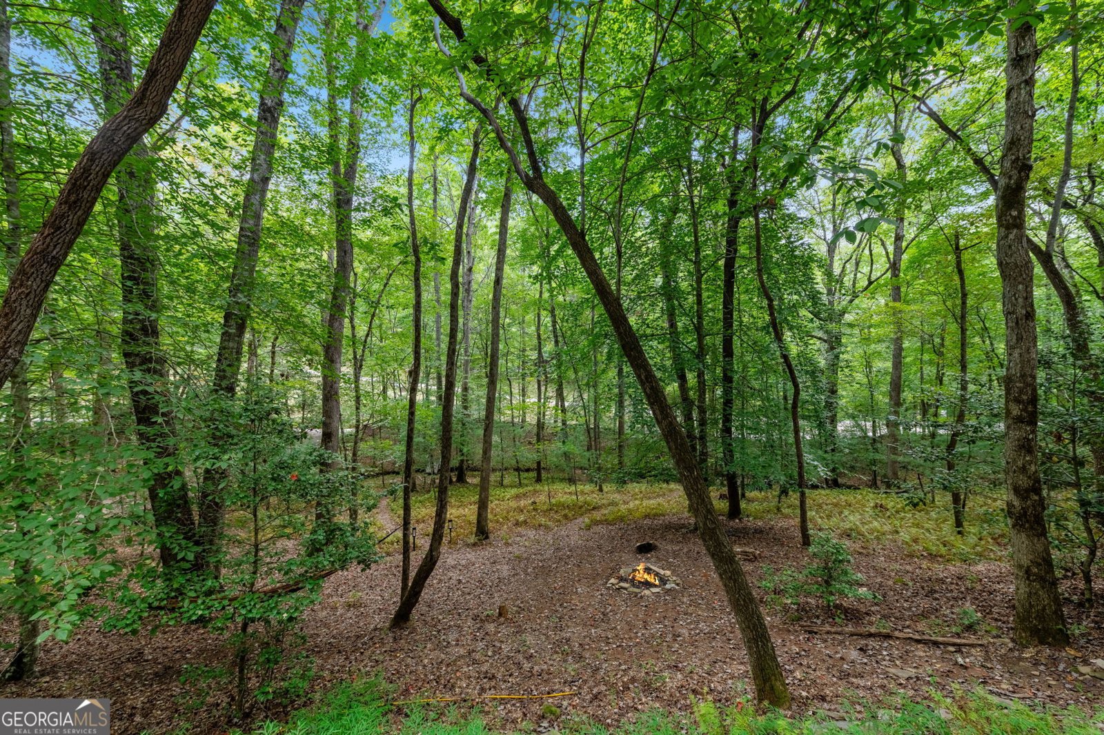 421 Weeks Creek Road Blue Ridge - 41