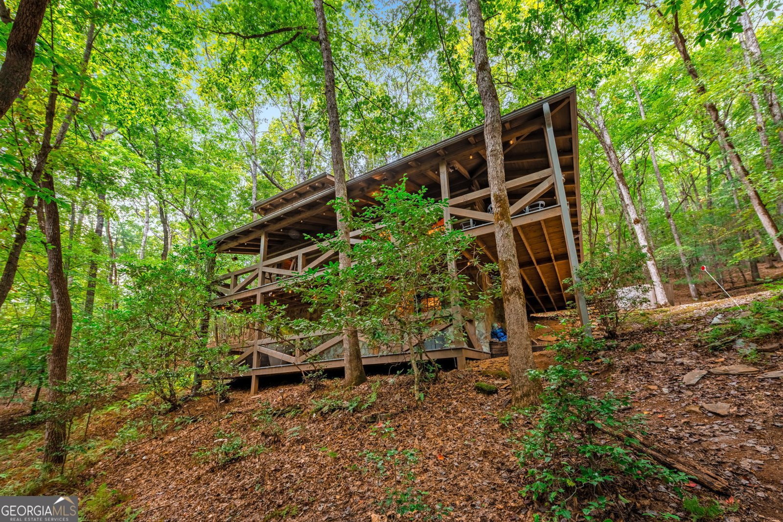 421 Weeks Creek Road Blue Ridge - 42