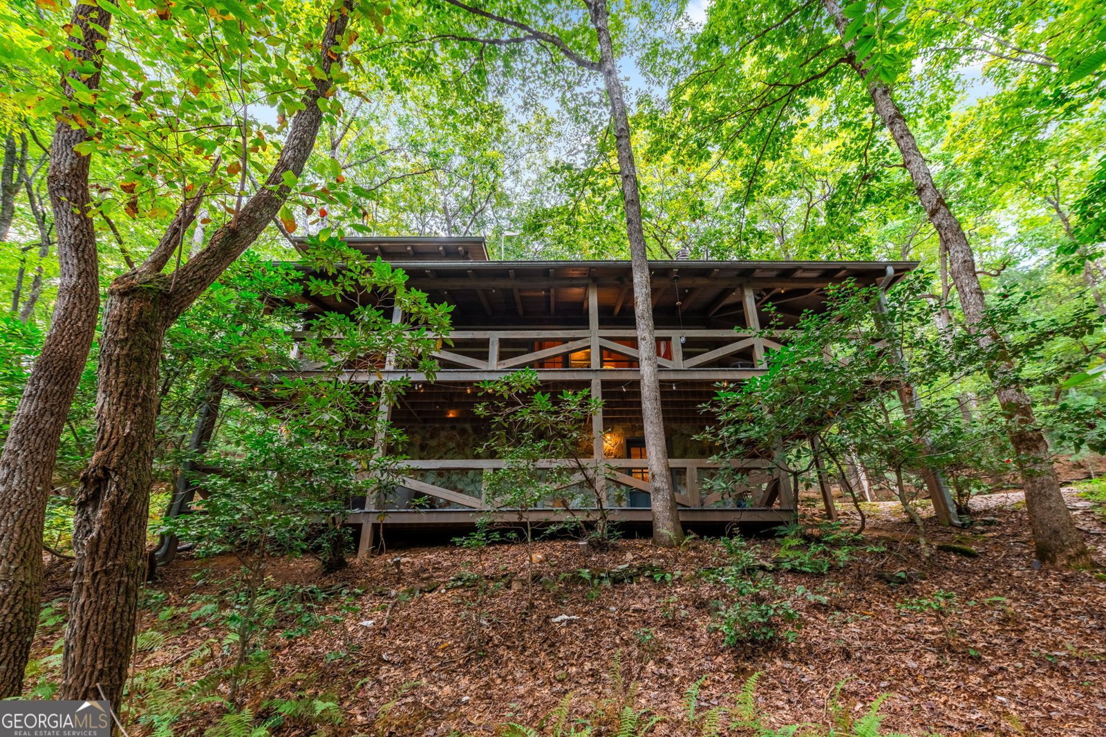 421 Weeks Creek Road Blue Ridge - 43