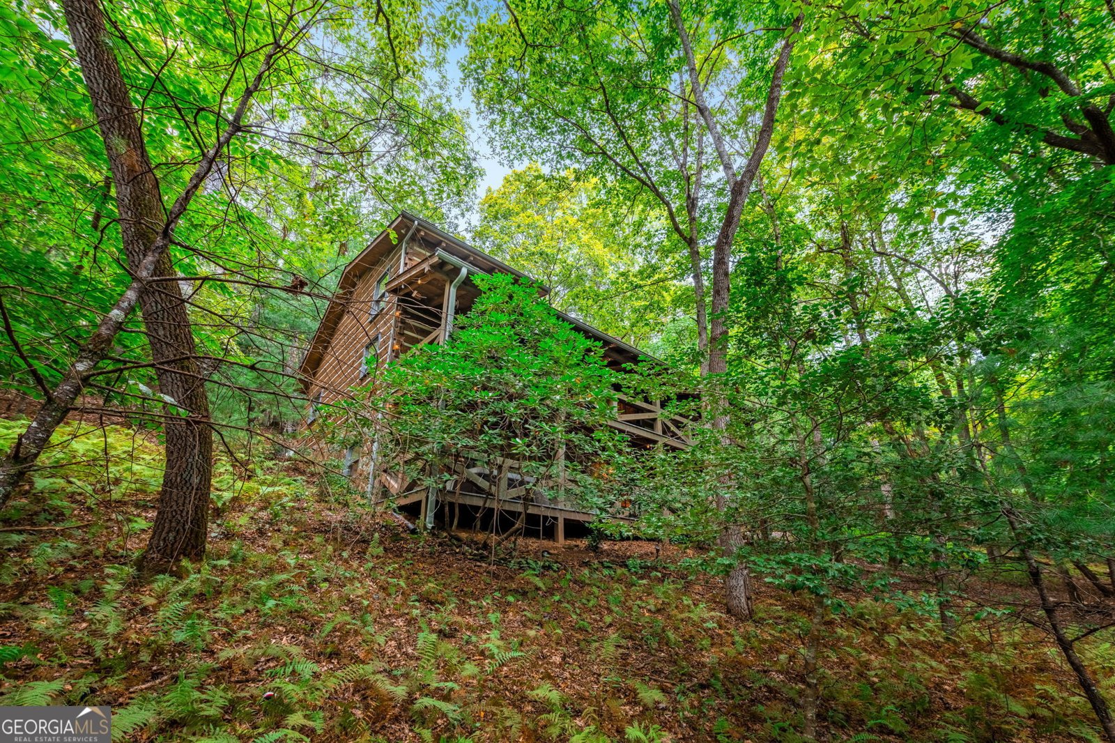 421 Weeks Creek Road Blue Ridge - 45