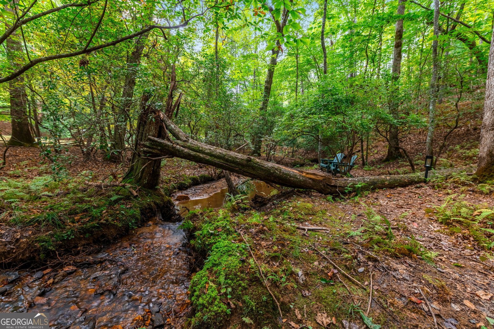 421 Weeks Creek Road Blue Ridge - 47