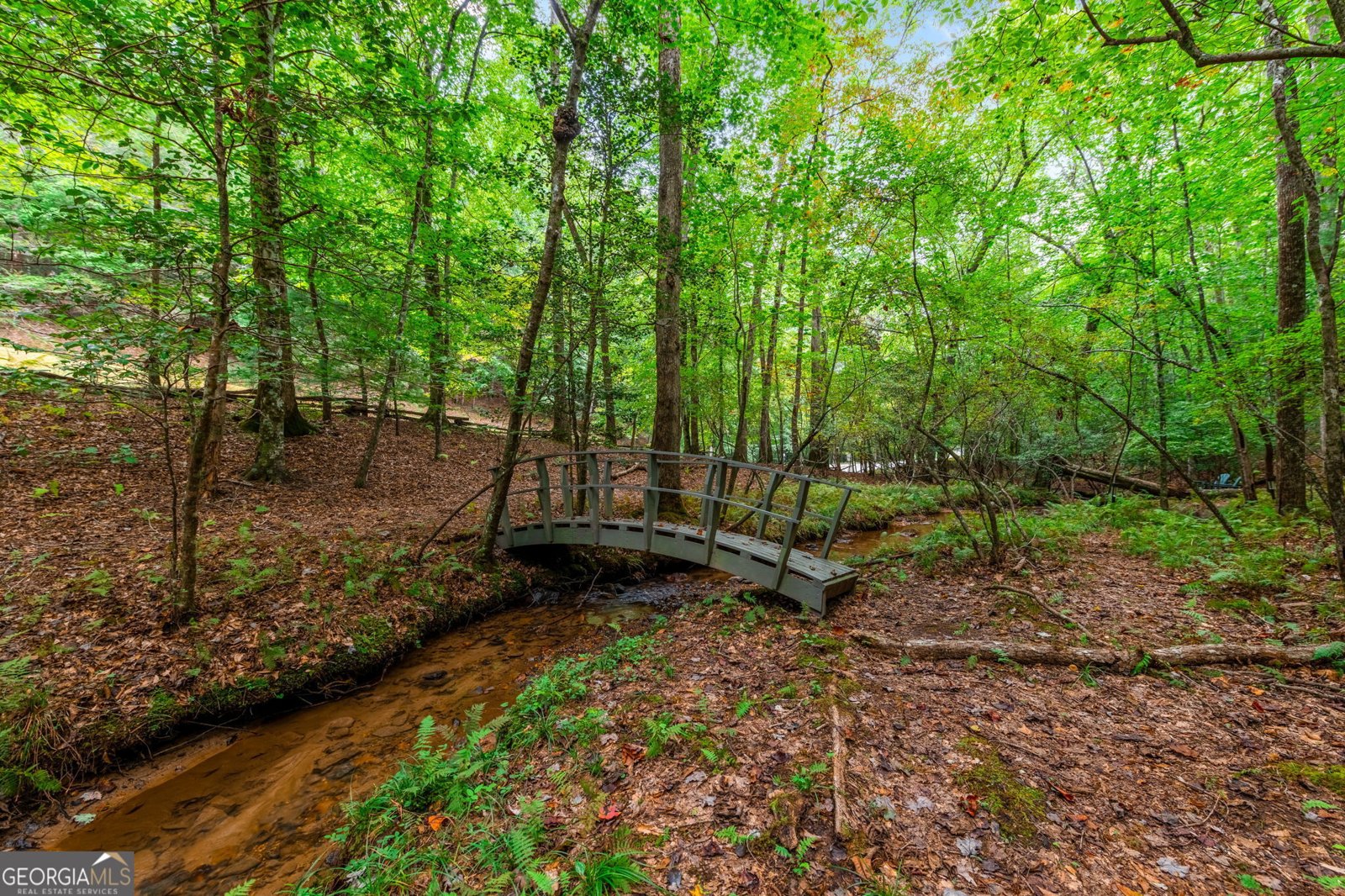 421 Weeks Creek Road Blue Ridge - 48