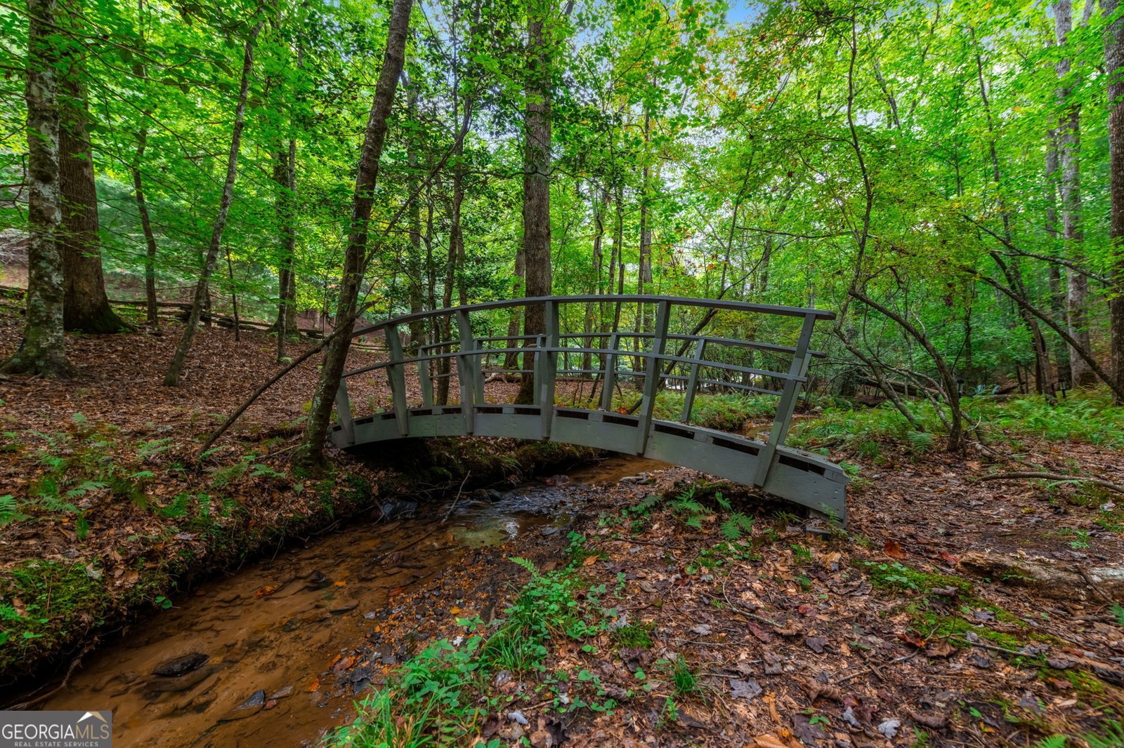 421 Weeks Creek Road Blue Ridge - 51