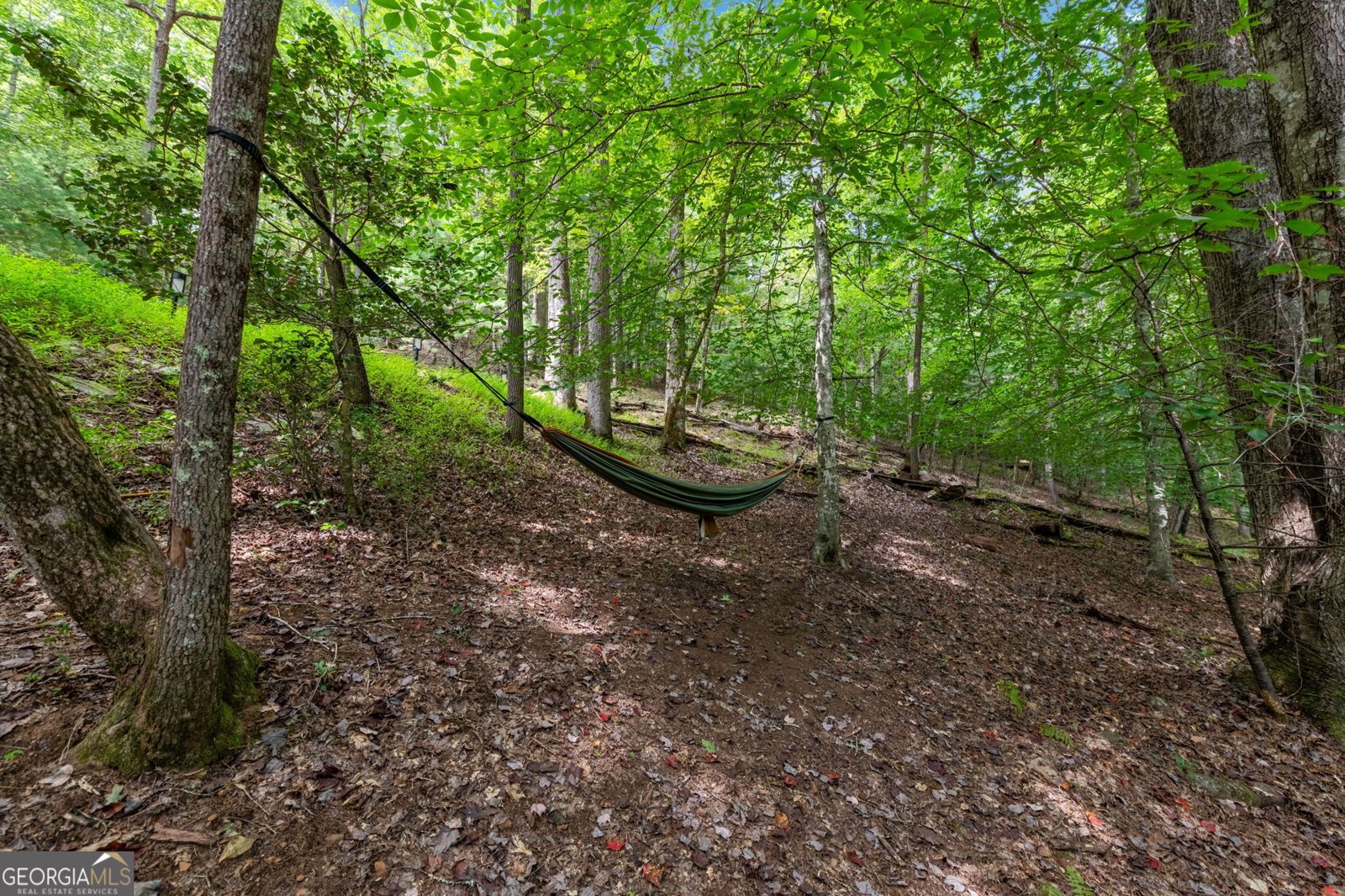 421 Weeks Creek Road Blue Ridge - 53