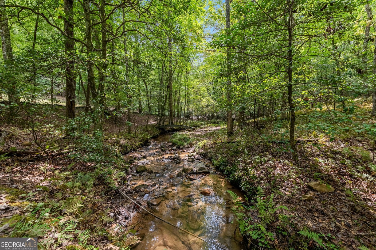 421 Weeks Creek Road Blue Ridge - 55