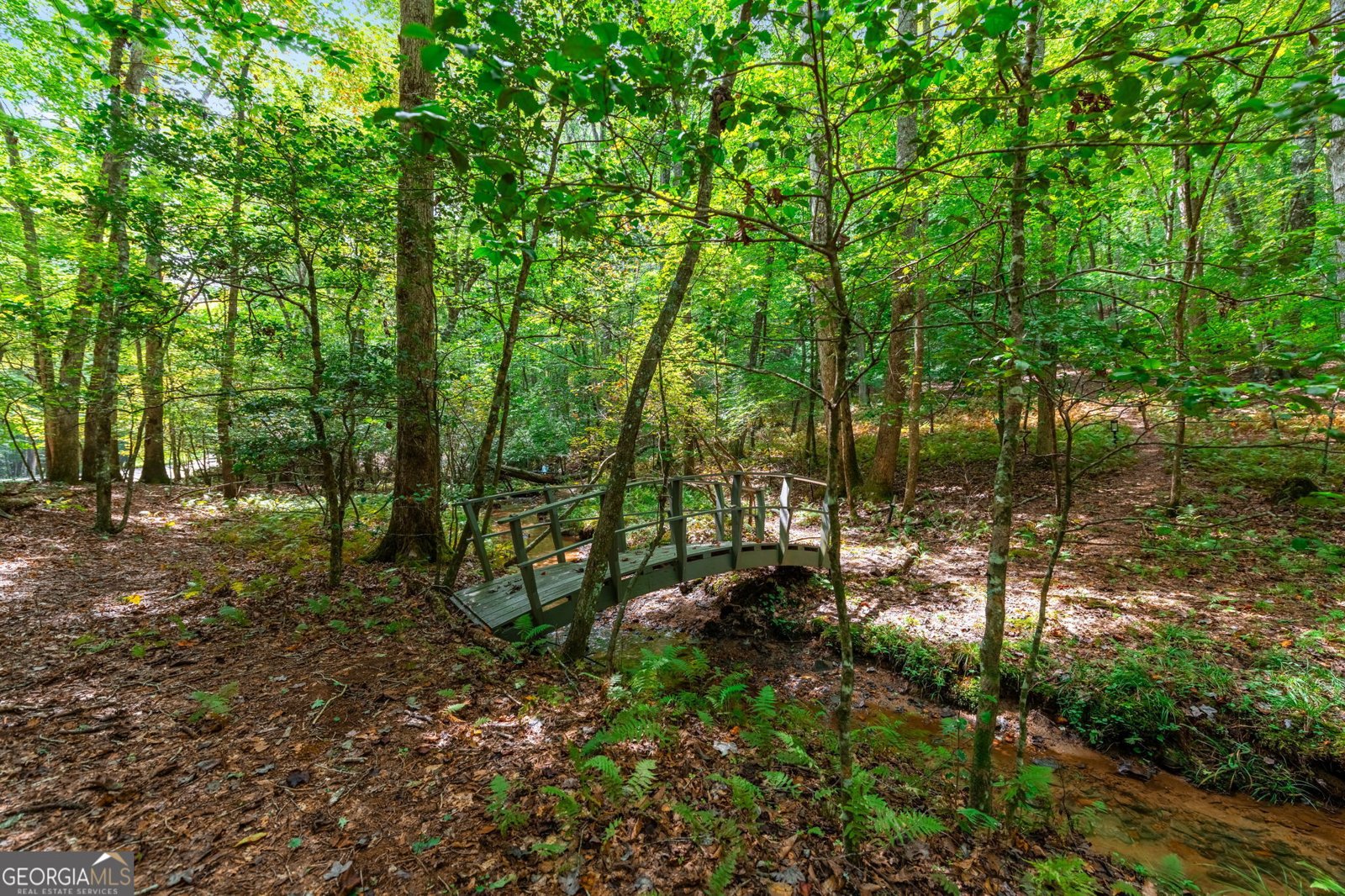 421 Weeks Creek Road Blue Ridge - 57