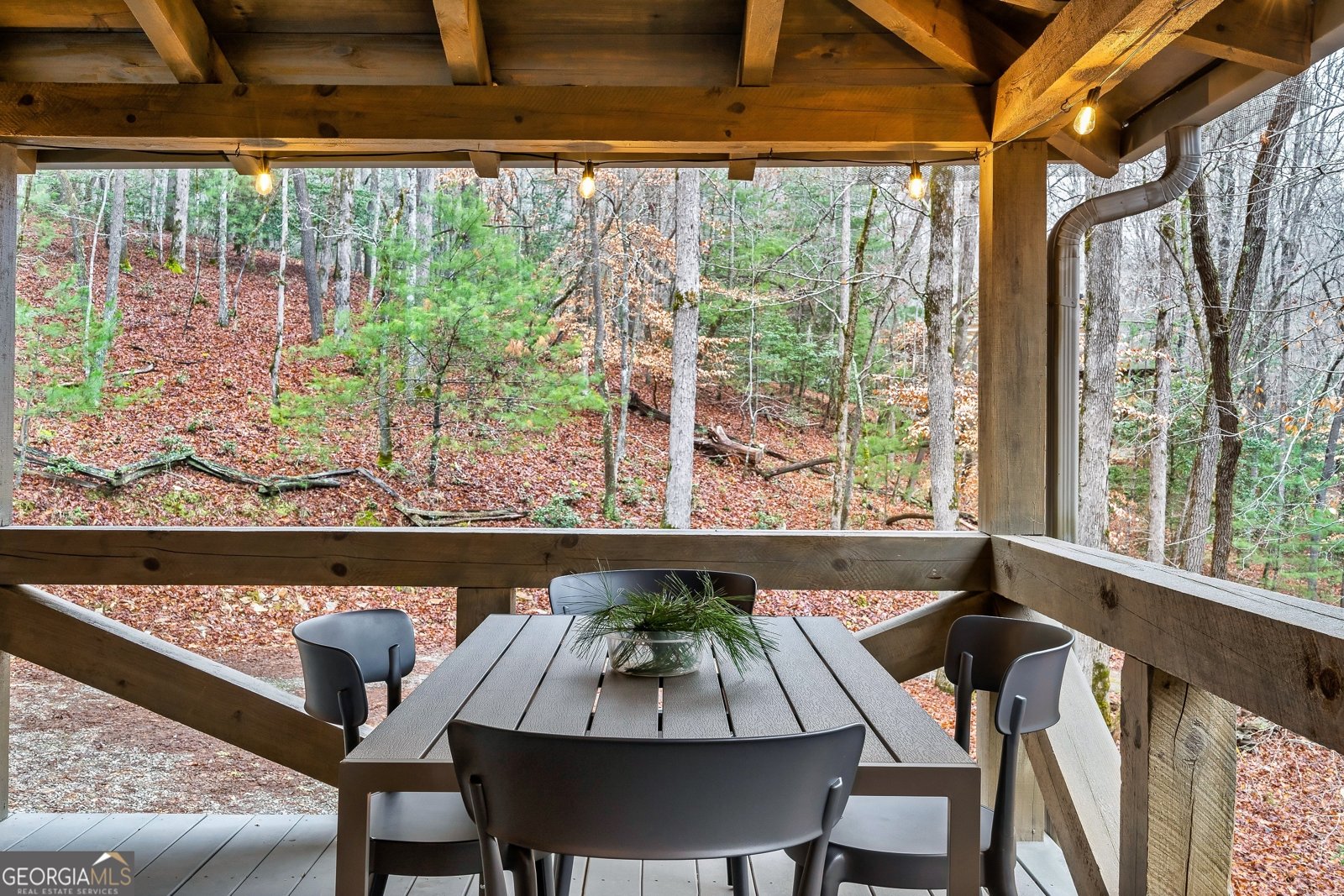 421 Weeks Creek Road Blue Ridge - 74