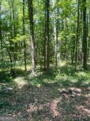3036 JOHNSON HALE Road Statham - 2