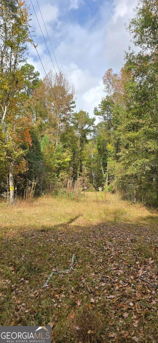3036 JOHNSON HALE Road Statham - 7