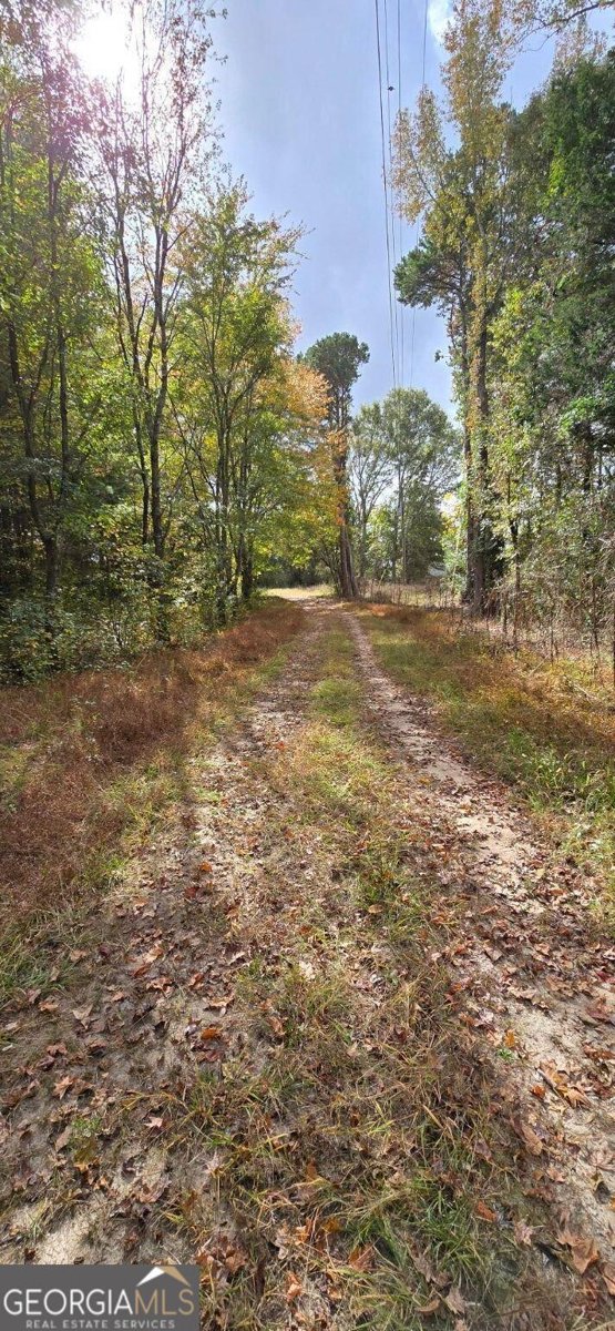 3036 JOHNSON HALE Road Statham - 8