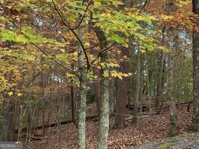 289 Cypress Circle Ellijay - 10