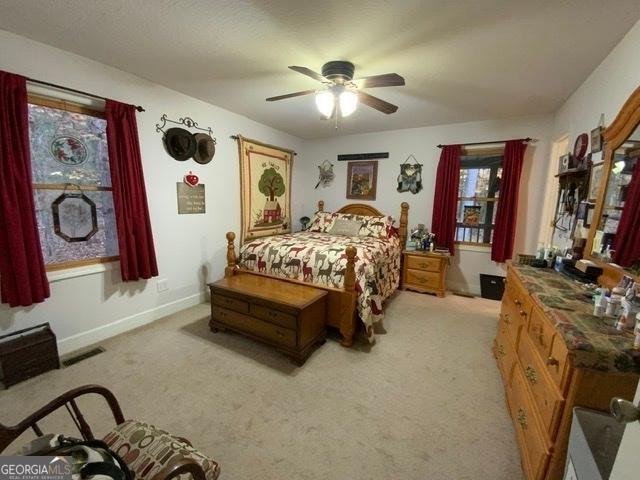 289 Cypress Circle Ellijay - 21