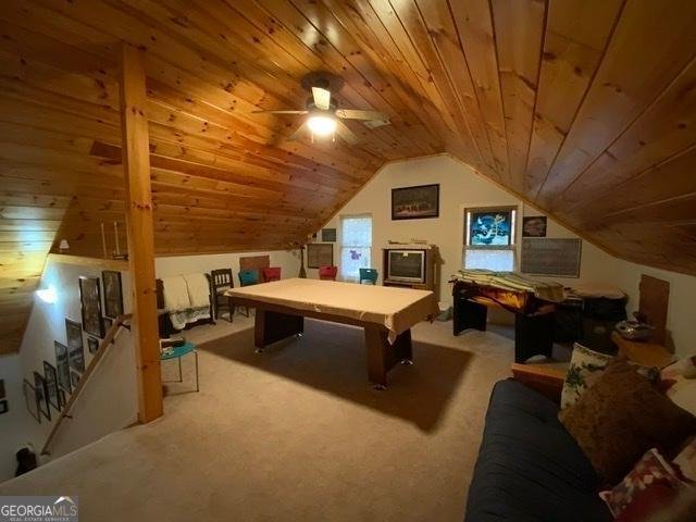 289 Cypress Circle Ellijay - 27