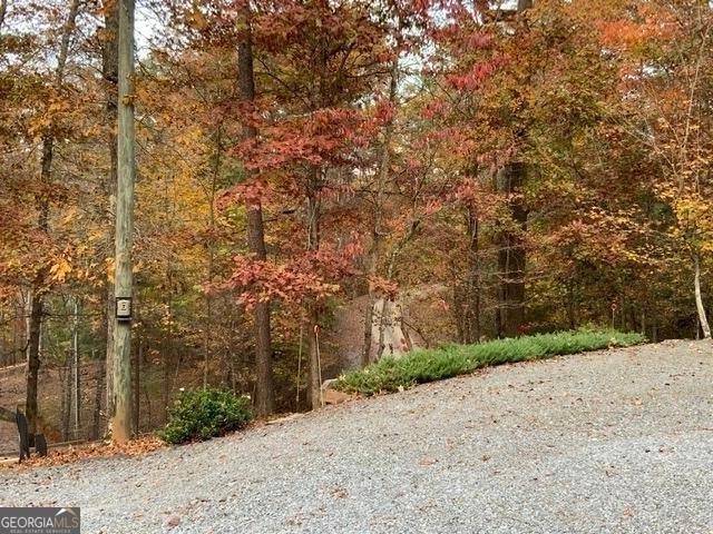 289 Cypress Circle Ellijay - 9