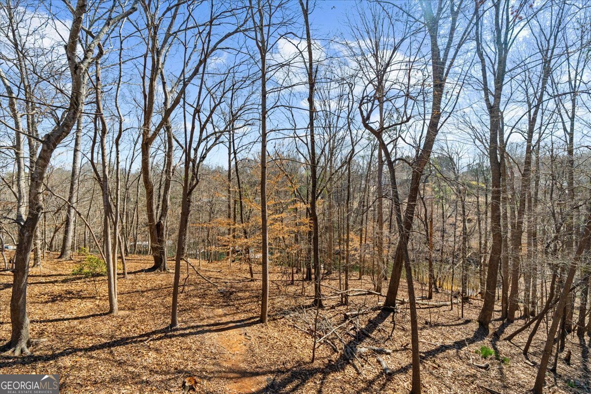 6137 White Oak Drive Flowery Branch - 53