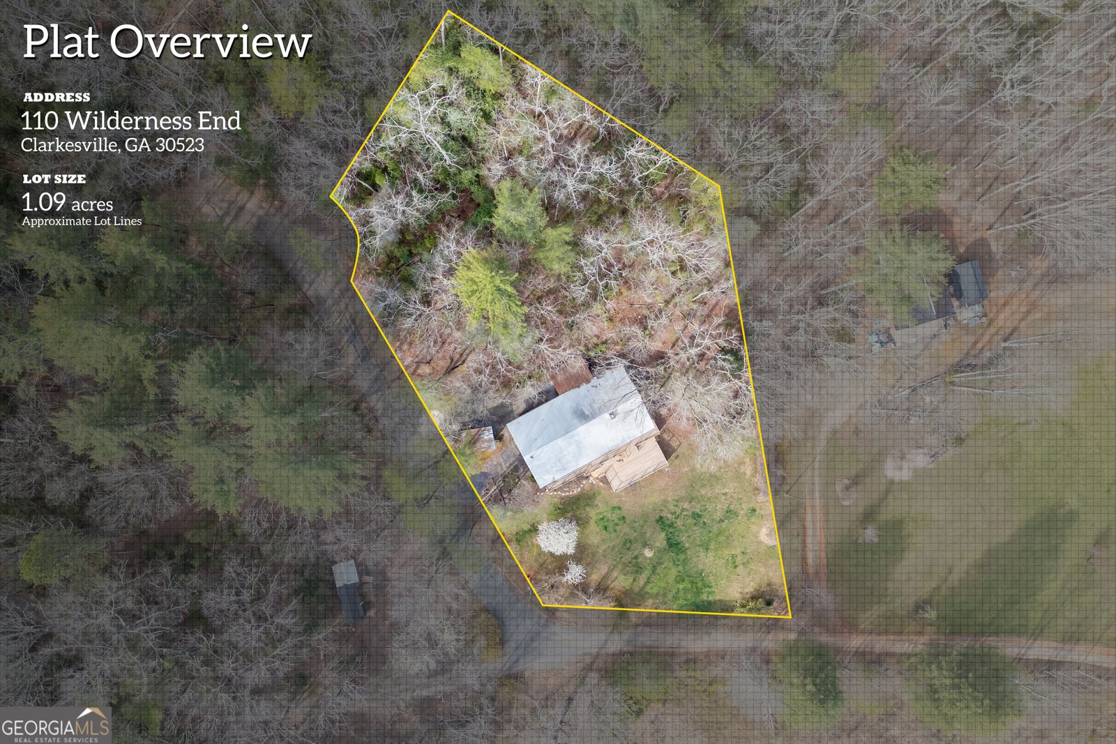 110 Wilderness End Clarkesville - 40
