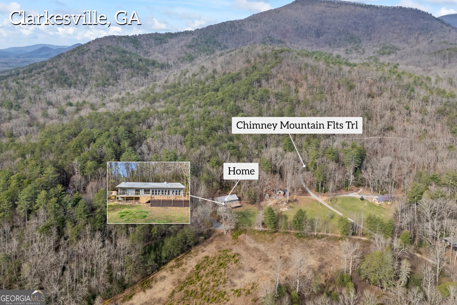 110 Wilderness End Clarkesville - 41