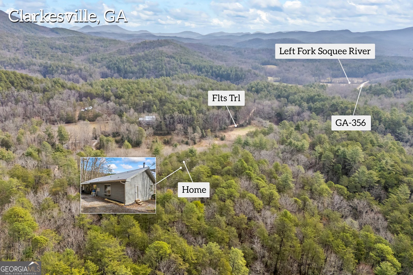 110 Wilderness End Clarkesville - 42