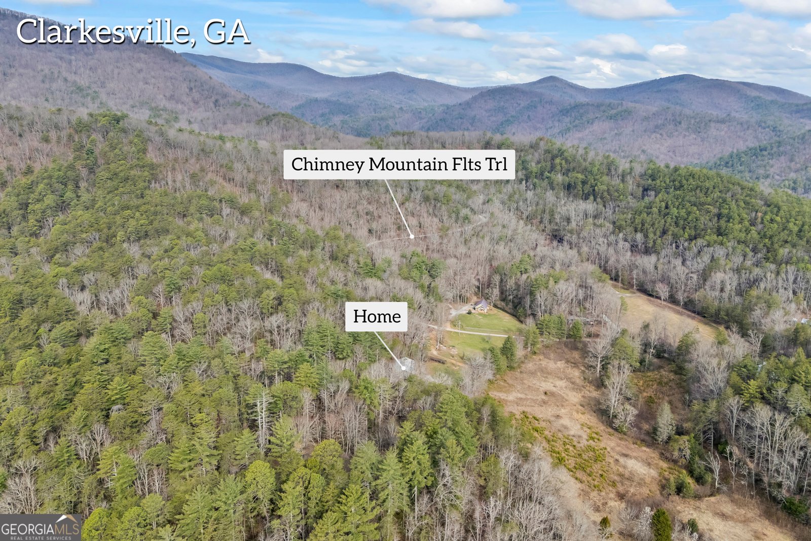 110 Wilderness End Clarkesville - 44