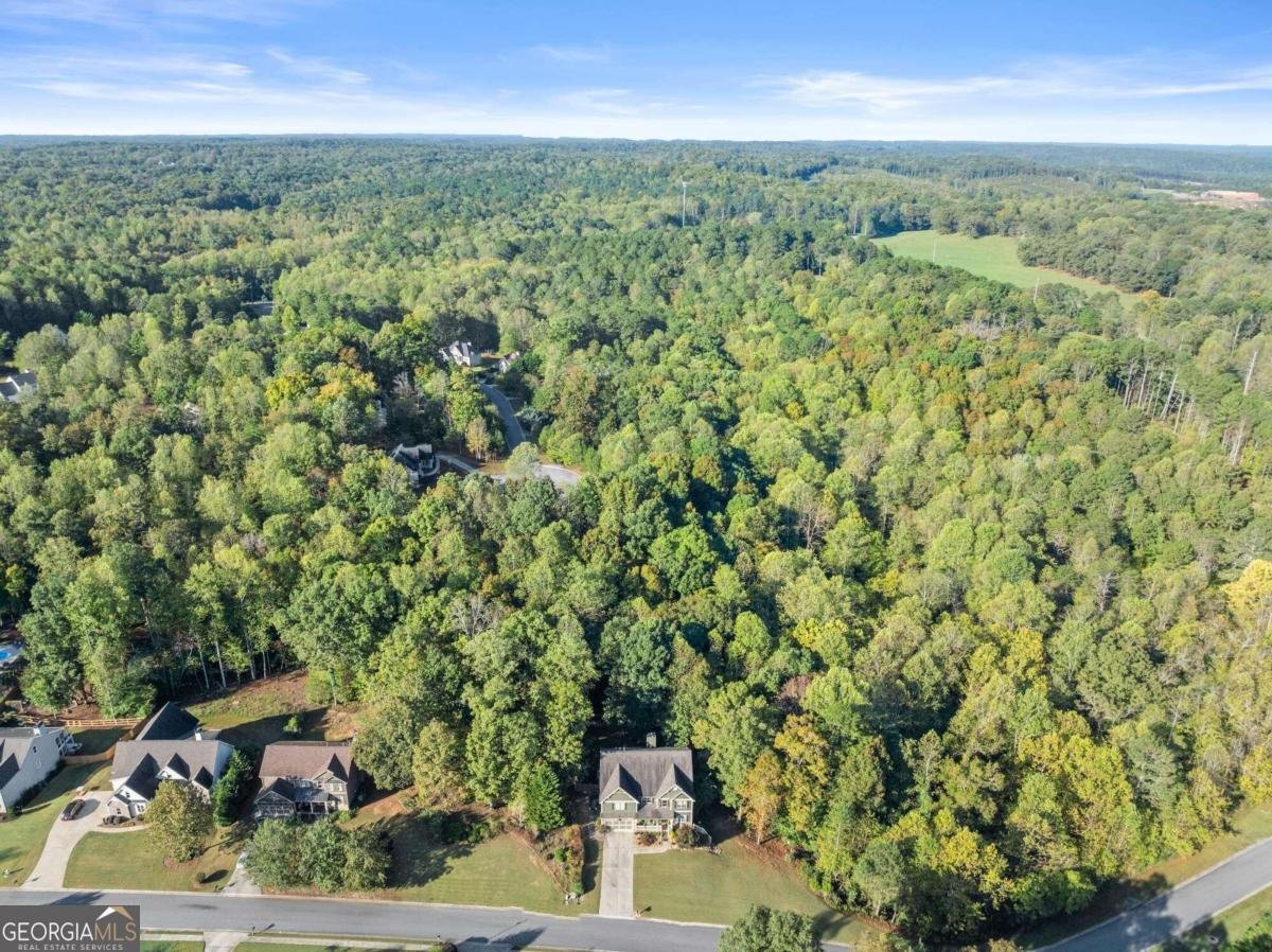 150 Dawson Manor Drive Dawsonville - 3
