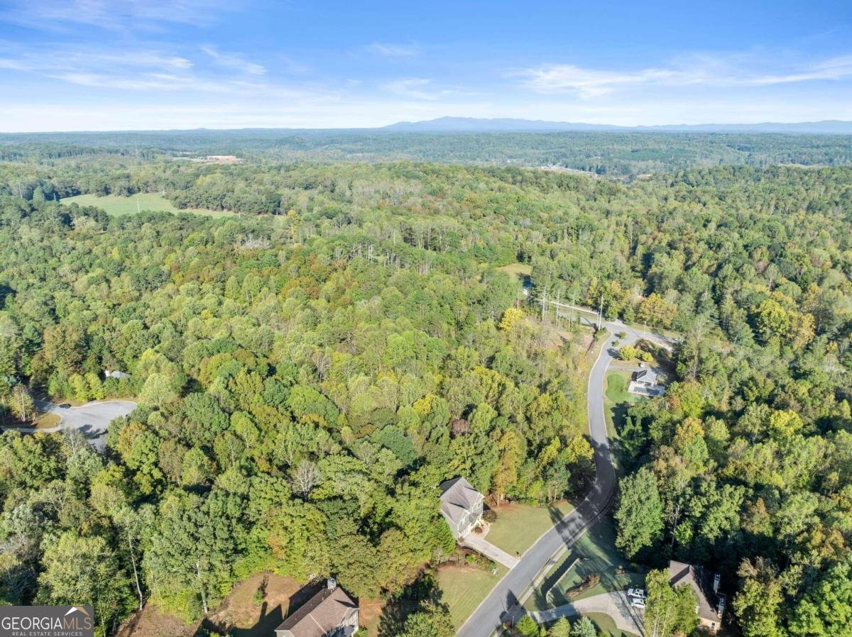 150 Dawson Manor Drive Dawsonville - 4