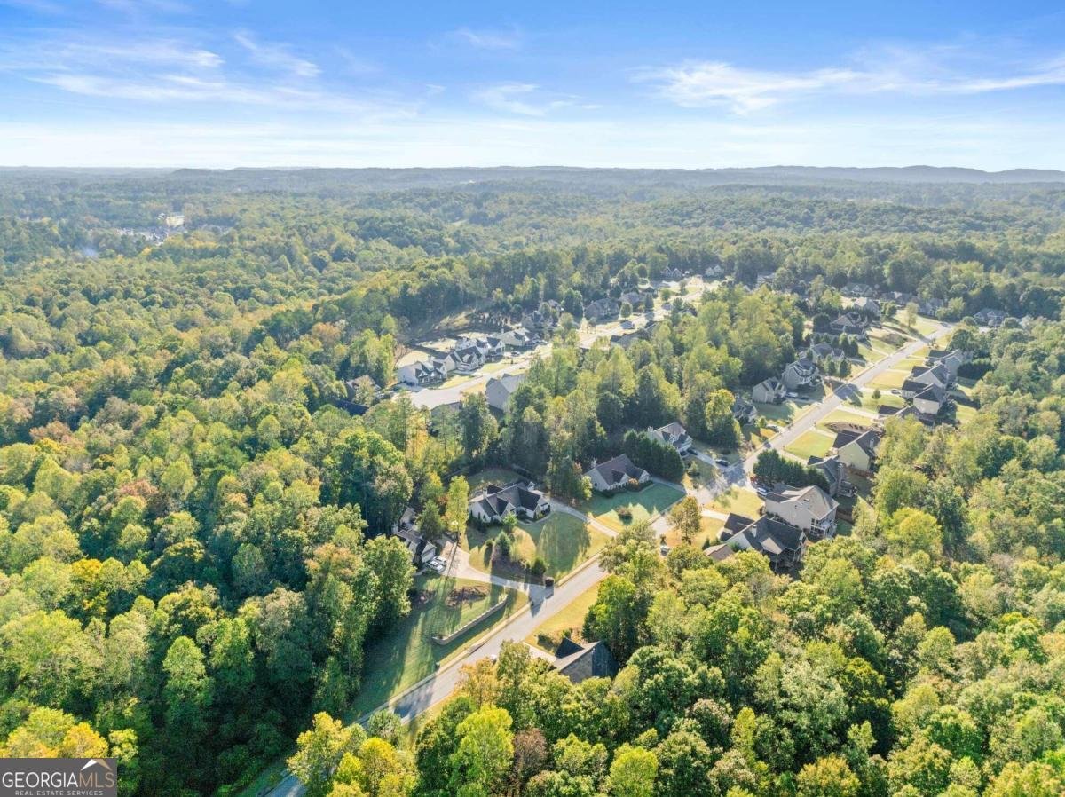 150 Dawson Manor Drive Dawsonville - 7