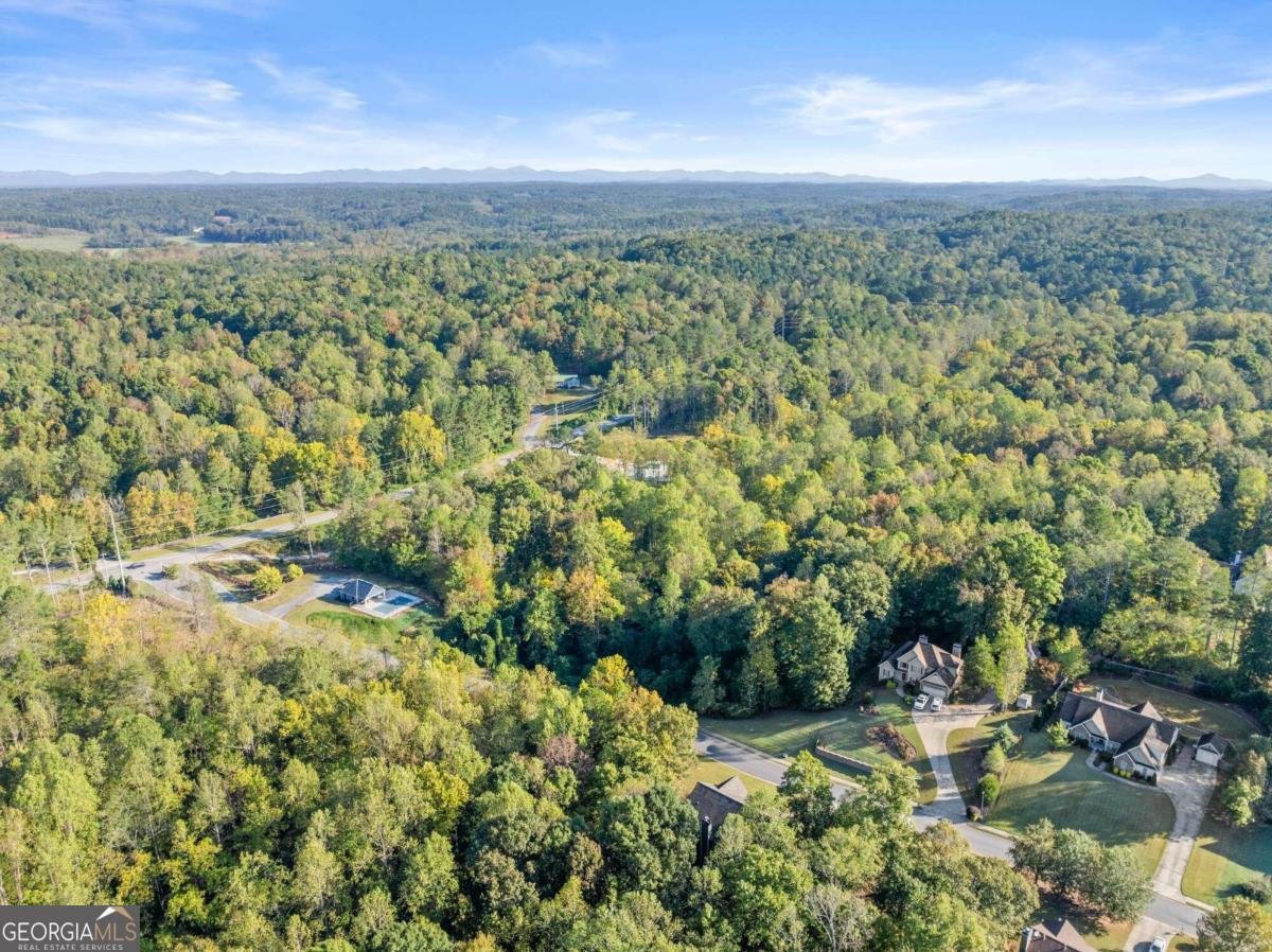 150 Dawson Manor Drive Dawsonville - 8