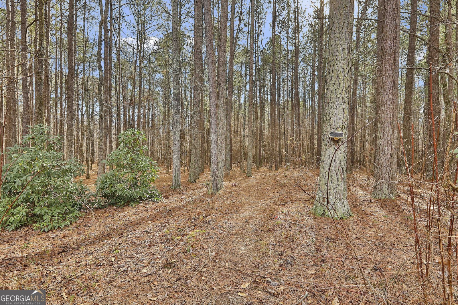 684 Brooks Woolsey Road Brooks - 58