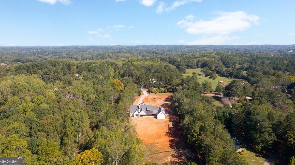 615 Hickory Flat Road Milton - 10