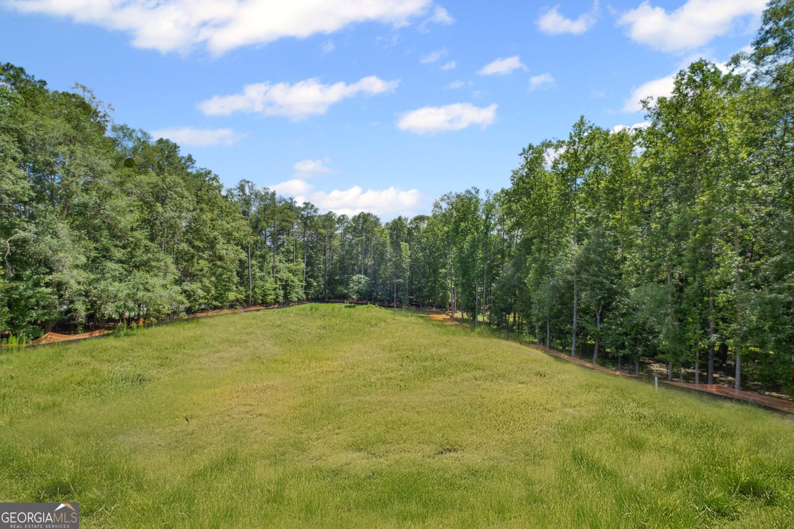 615 Hickory Flat Road Milton - 60