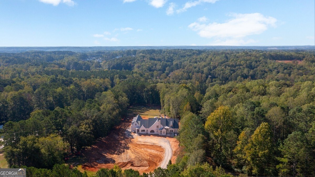 615 Hickory Flat Road Milton - 9
