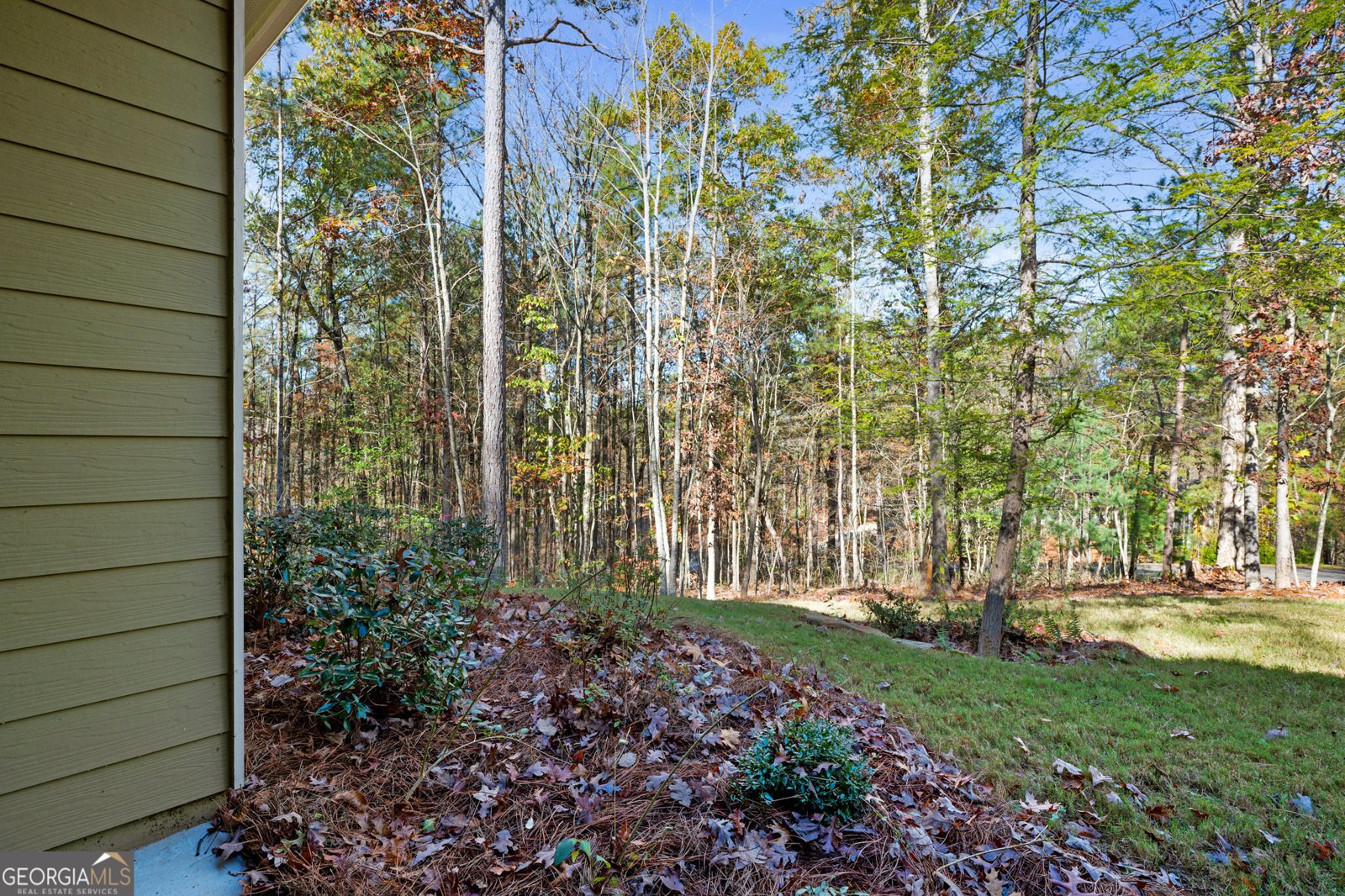 60 Mossy Oak Court Ellijay - 11