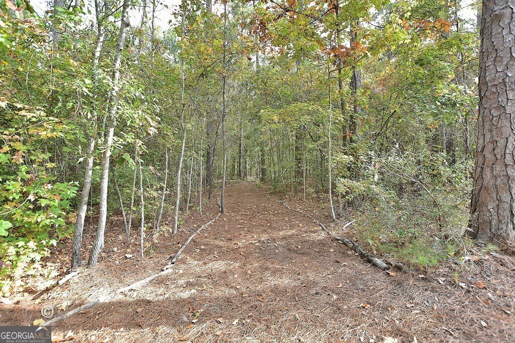 2612 Piedmont Lake Road Pine Mountain - 37