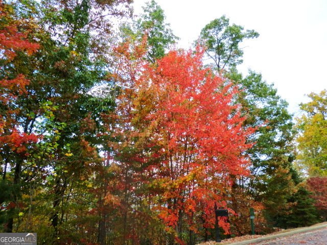 L 3 High Point Drive Clayton - 7