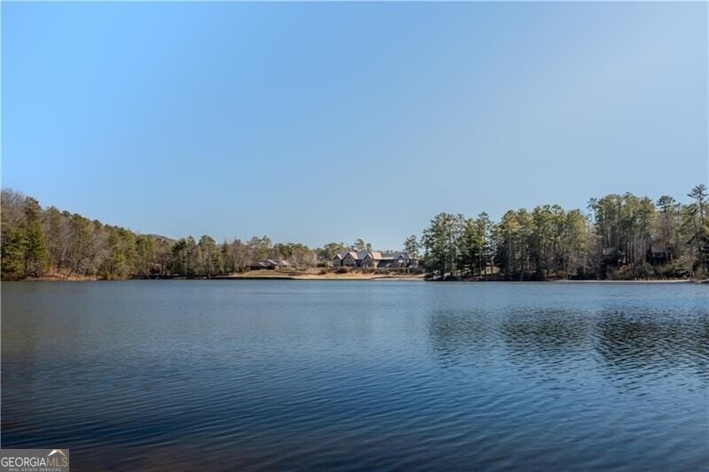 62 Shaggy Maple Lane Big Canoe - 21