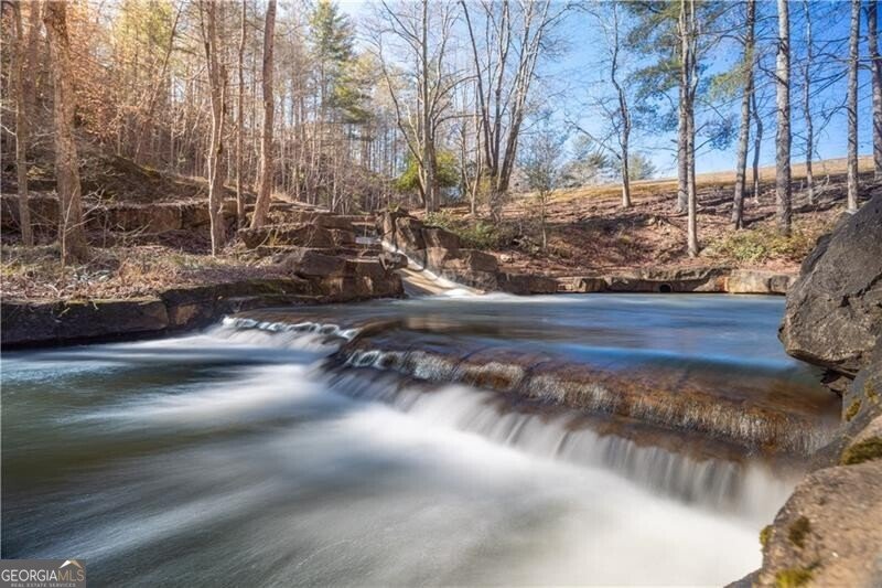 62 Shaggy Maple Lane Big Canoe - 23