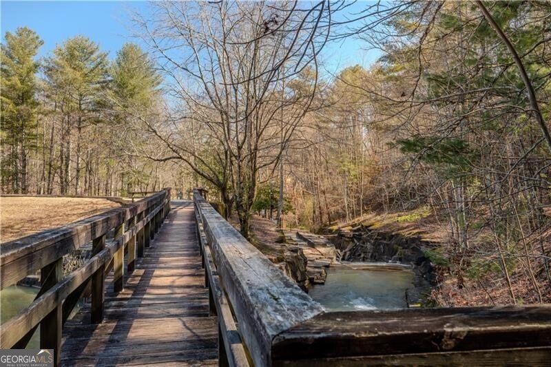 62 Shaggy Maple Lane Big Canoe - 24
