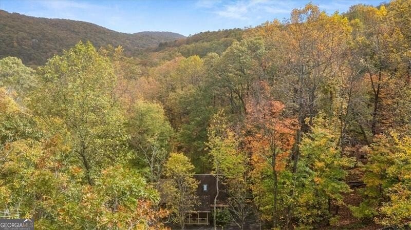 62 Shaggy Maple Lane Big Canoe - 3