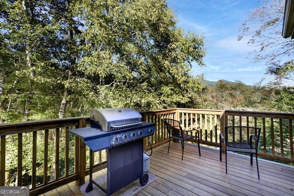 14 Rivendell Way Hayesville - 43