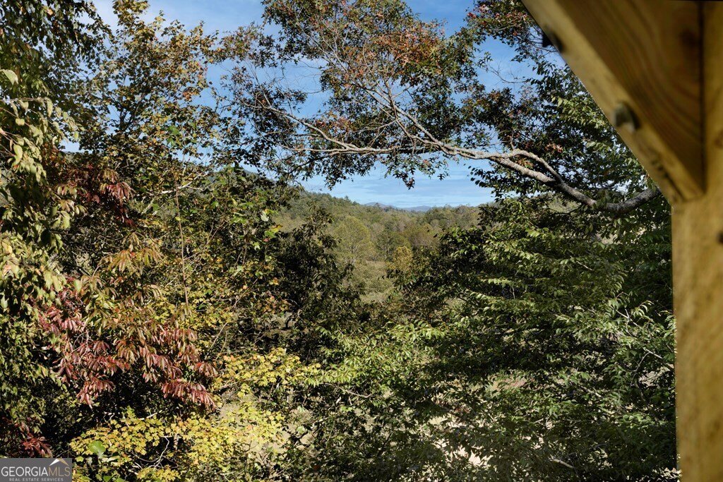 14 Rivendell Way Hayesville - Photo 59