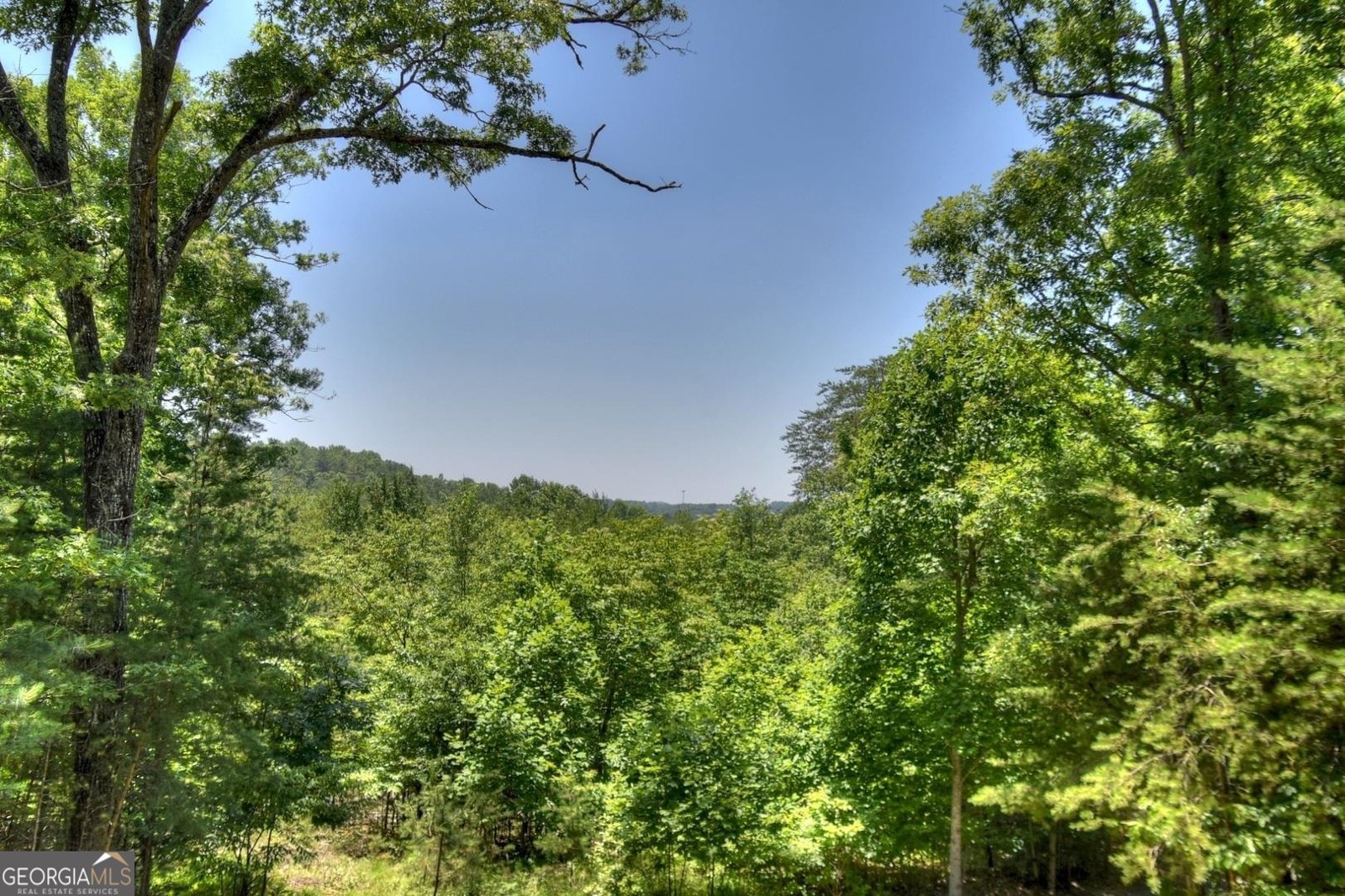 327 Dancing Trees Trail Morganton - 6